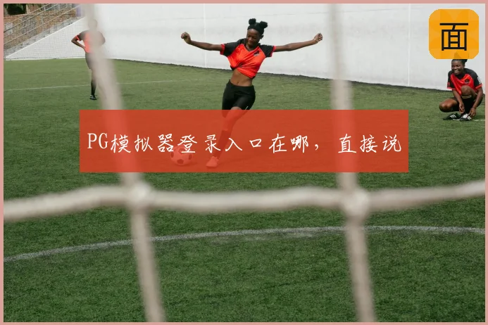 PG模拟器登录入口在哪，直接说